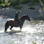 Landhuis Landgasthof Probstei Zella Frankenroda