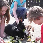 Landhuis Landgasthof Probstei Zella *