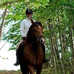 Landhuis Landgasthof Probstei Zella Frankenroda