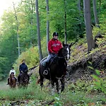 Landhuis Landgasthof Probstei Zella