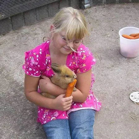 Landgasthof Probstei Zella Casa di campagna Frankenroda