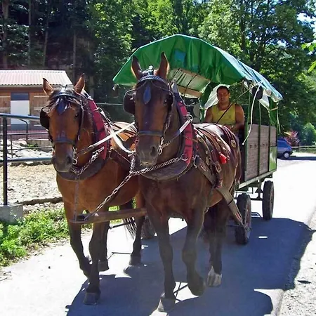 בית כפרי Landgasthof Probstei Zella Frankenroda