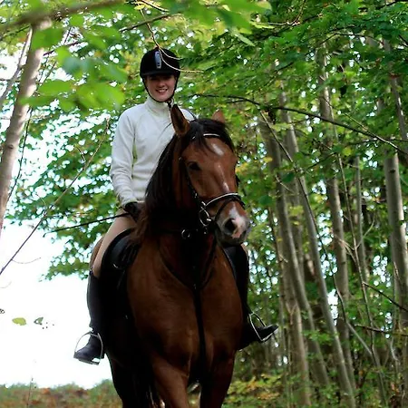 Casa di campagna Landgasthof Probstei Zella Frankenroda