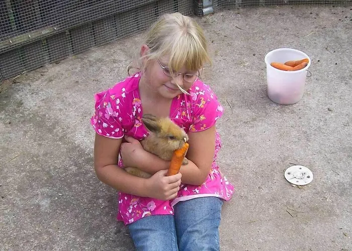 Landgasthof Probstei Zella Landhuis Frankenroda