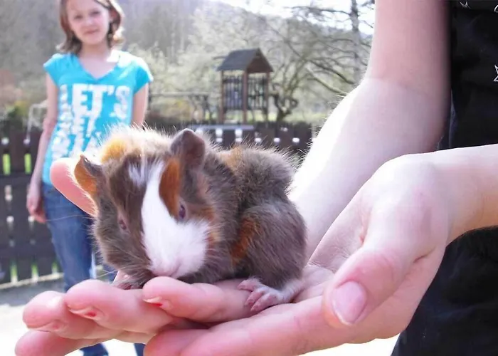 Landgasthof Probstei Zella Landhuis Frankenroda