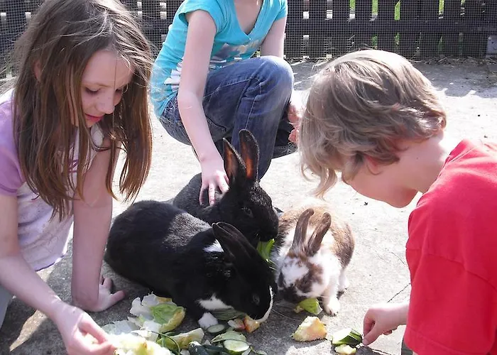 Летний дом Landgasthof Probstei Zella *