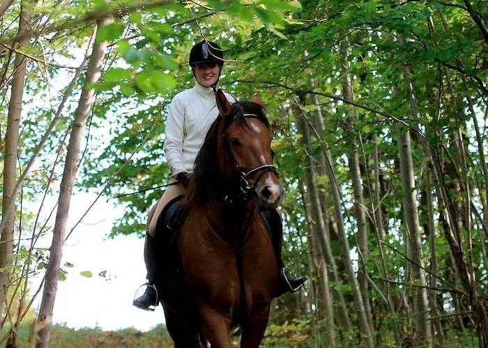 Landhuis Landgasthof Probstei Zella Frankenroda